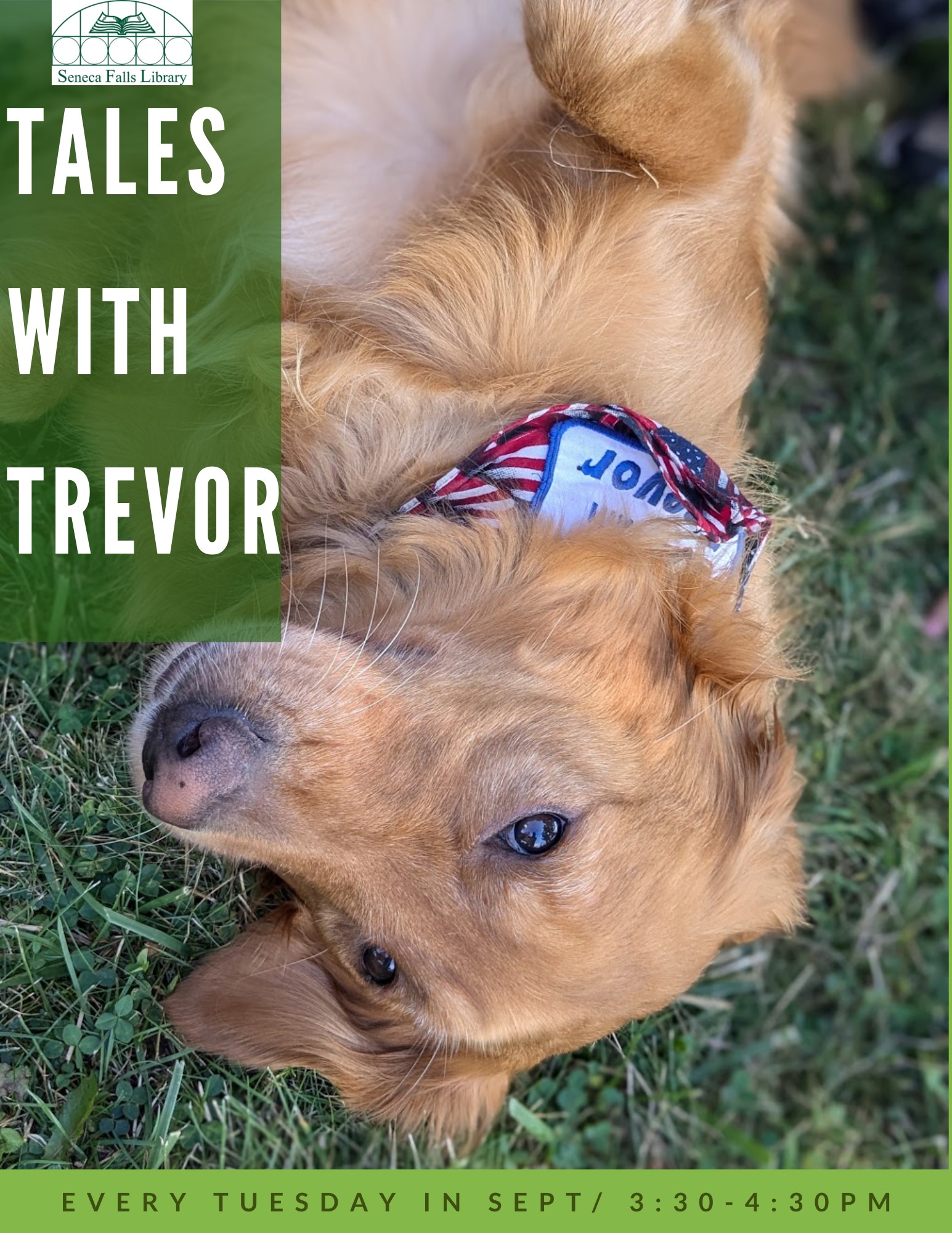 Tales with Trevor