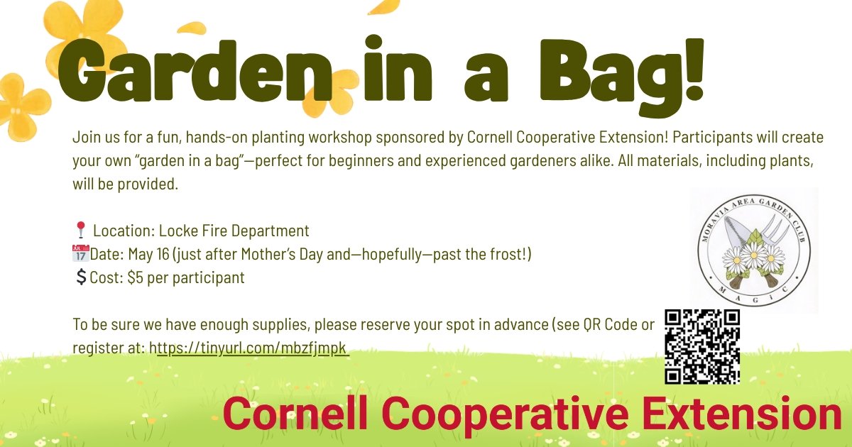 Garden in a Bag!