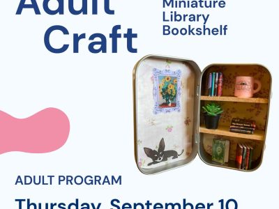 Adult Craft: Miniature Library Bookshelf